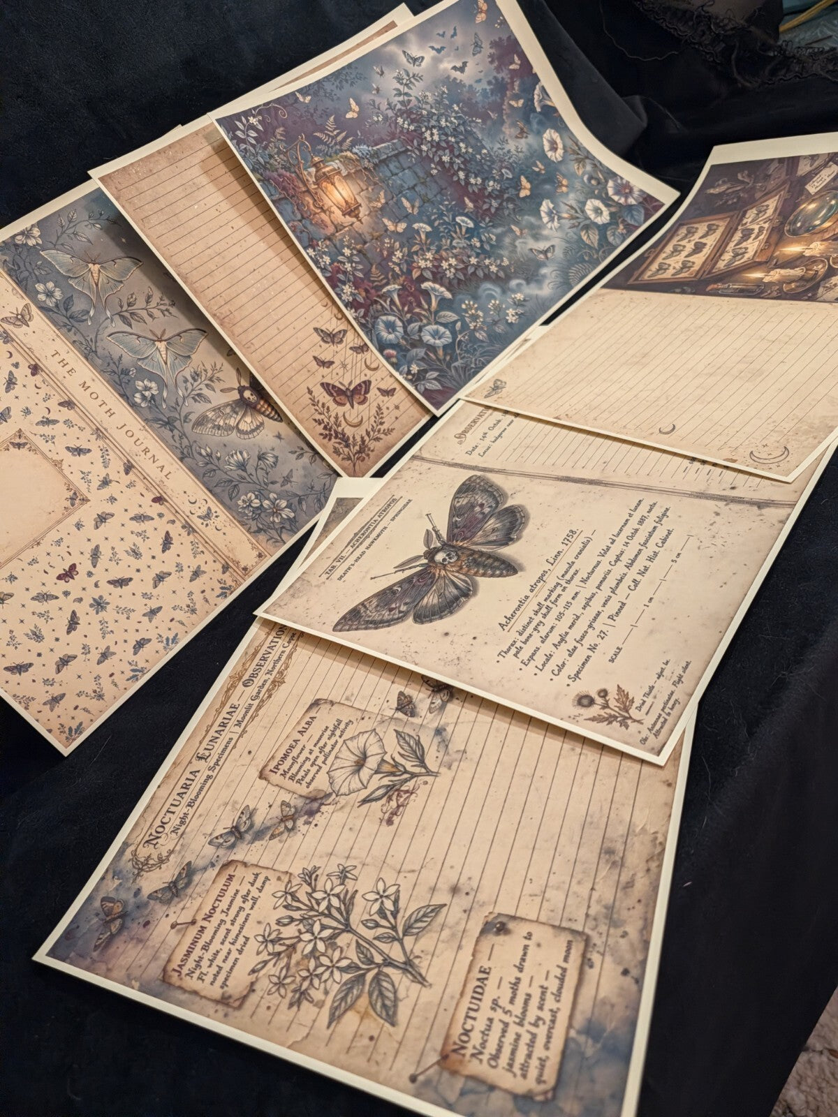Moth Paper Kit 6pc Gothic Journal Ephemera Victorian Junk Journal Scrapbook