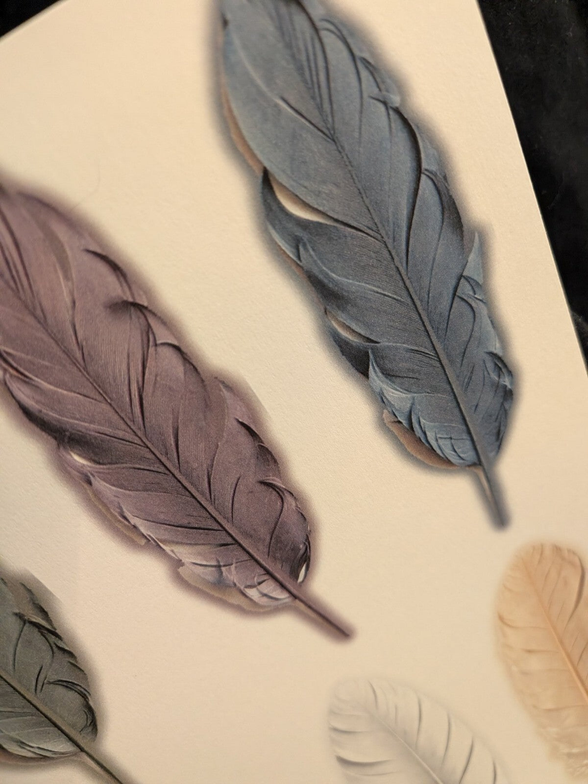 Feather Cutout Paper Pack 5pc Fussy Cut Feathers Junk Journal Ephemera Gothic