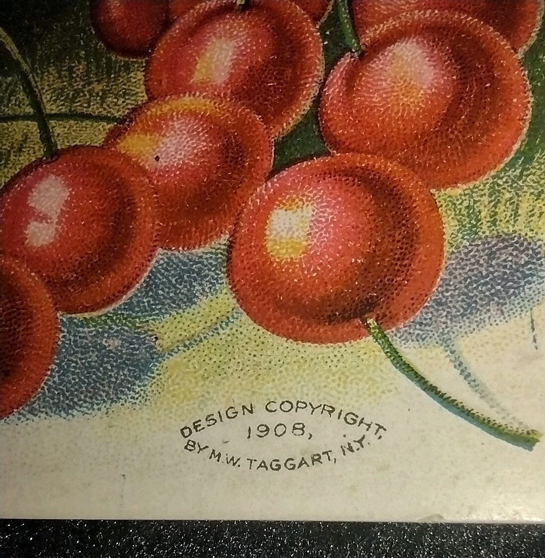Antique 1908 Washington Birthday Postcard M W Taggart Embossed Cherry Tree