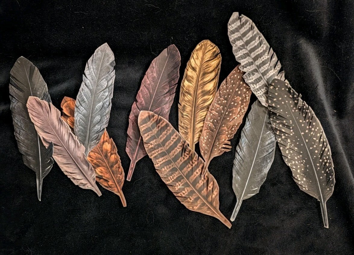 Feather Cutout Paper Pack 5pc Fussy Cut Feathers Junk Journal Ephemera Gothic