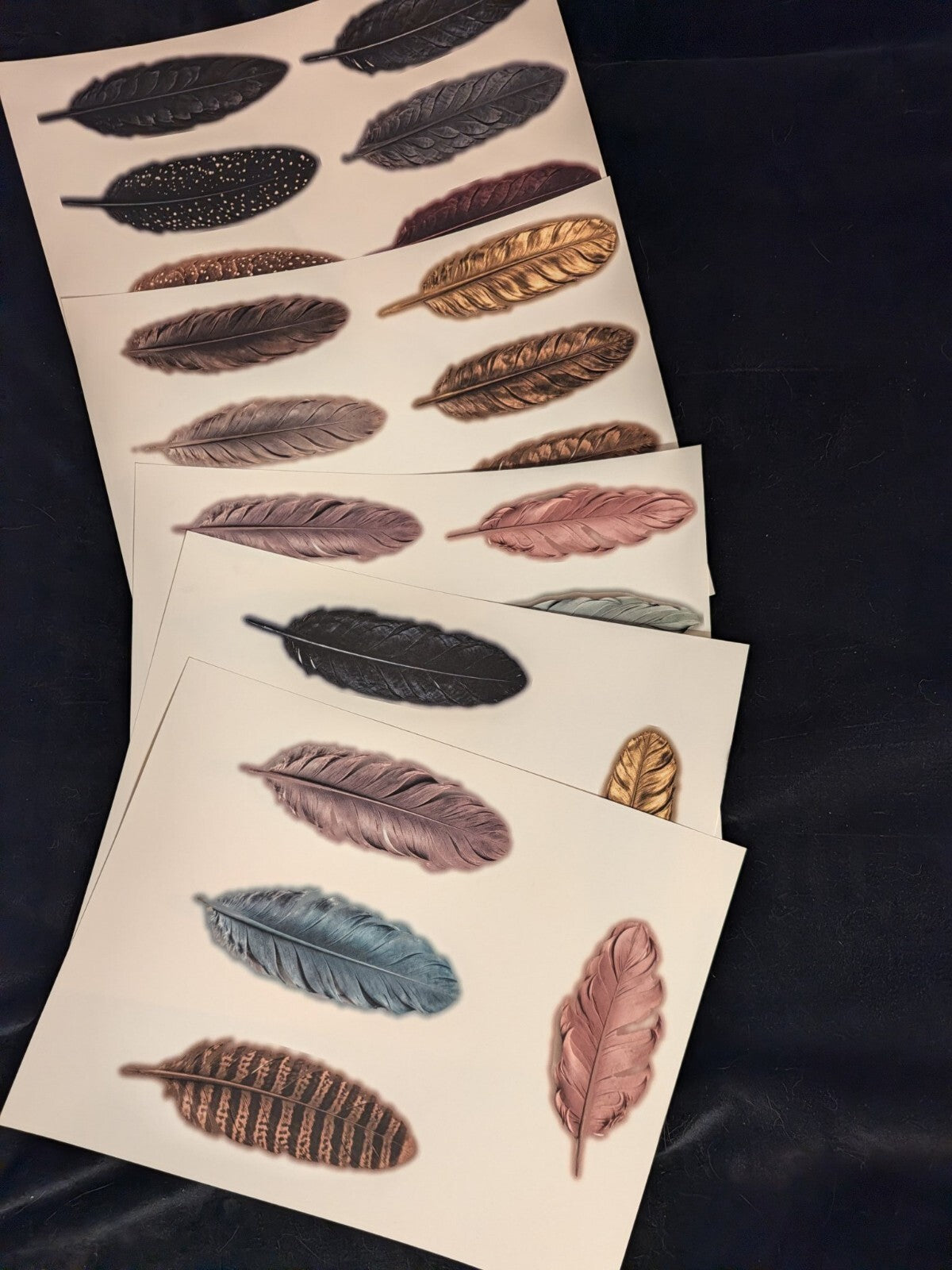 Feather Cutout Paper Pack 5pc Fussy Cut Feathers Junk Journal Ephemera Gothic
