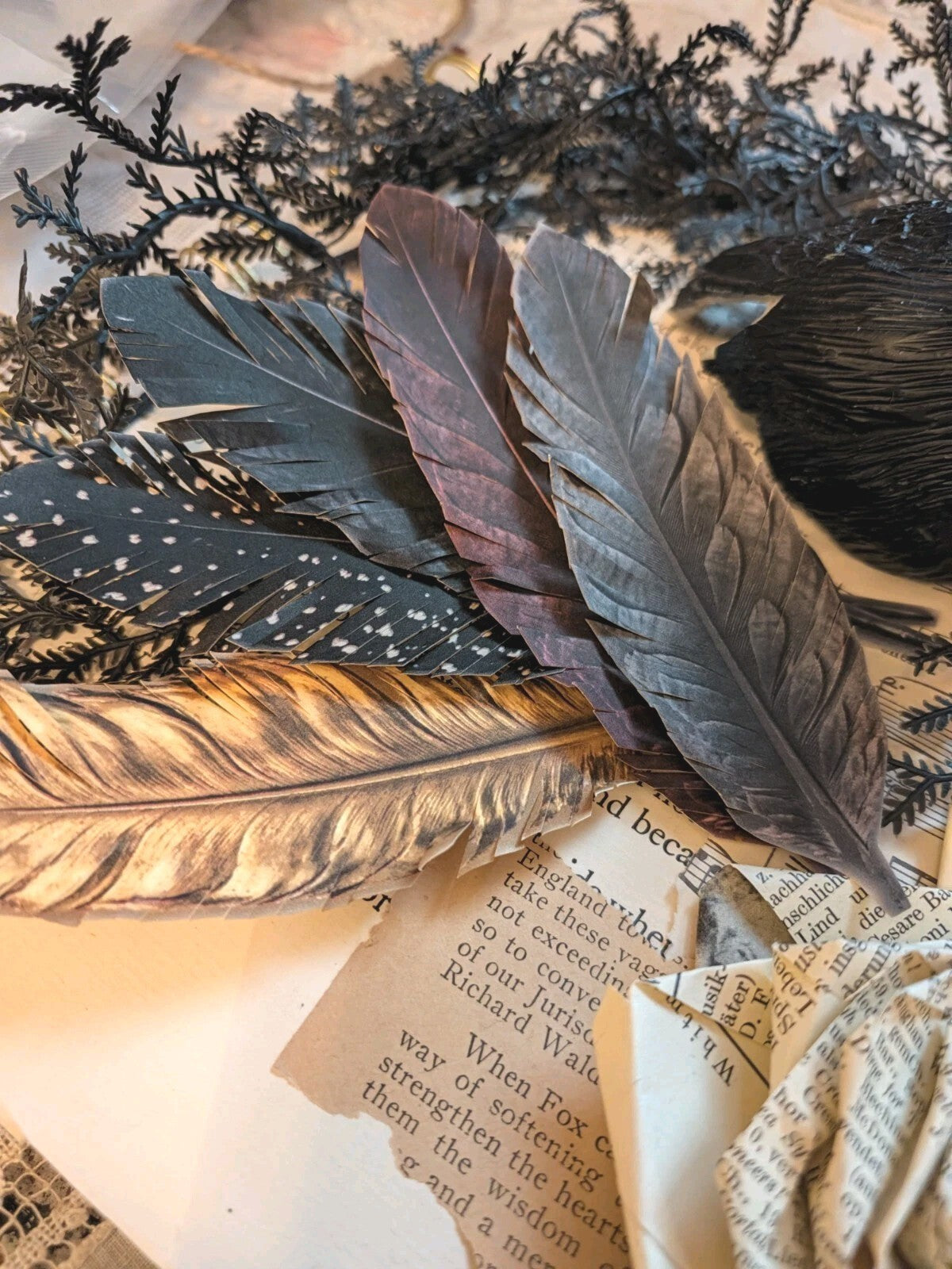 Hand Cut Feather Embellishments Set of 6 Junk Journal Ephemera 32 Designs Gothic