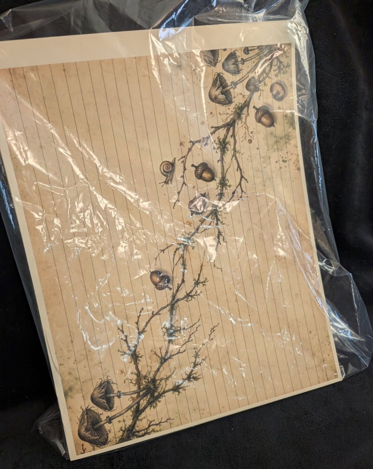 Mushroom 6 Paper Kit Gothic Journal Ephemera Dark Forest Junk Journal Scrapbook