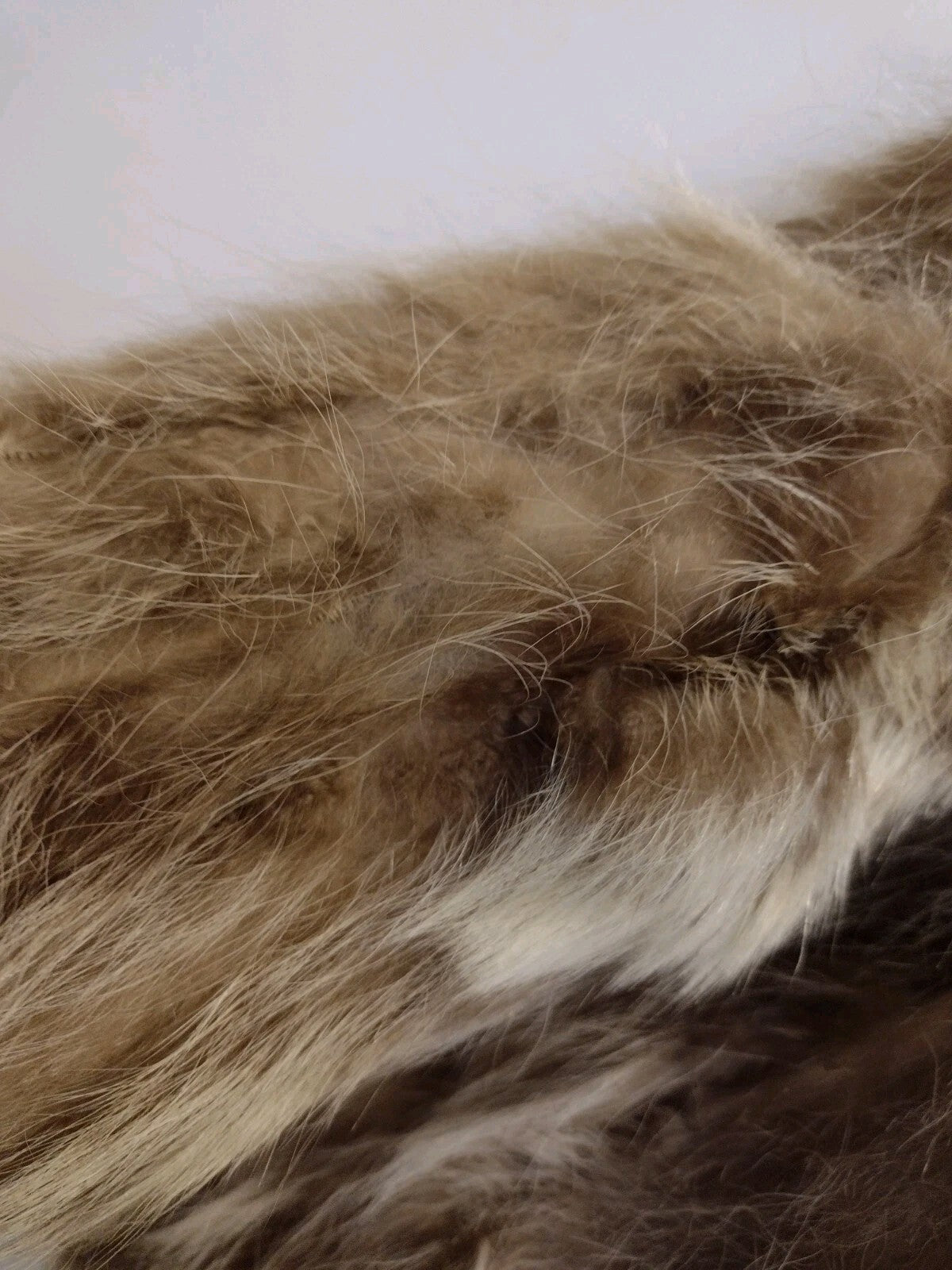 Vintage Coyote Fur Coat Jacket Brown Cream Boho Western 70s S