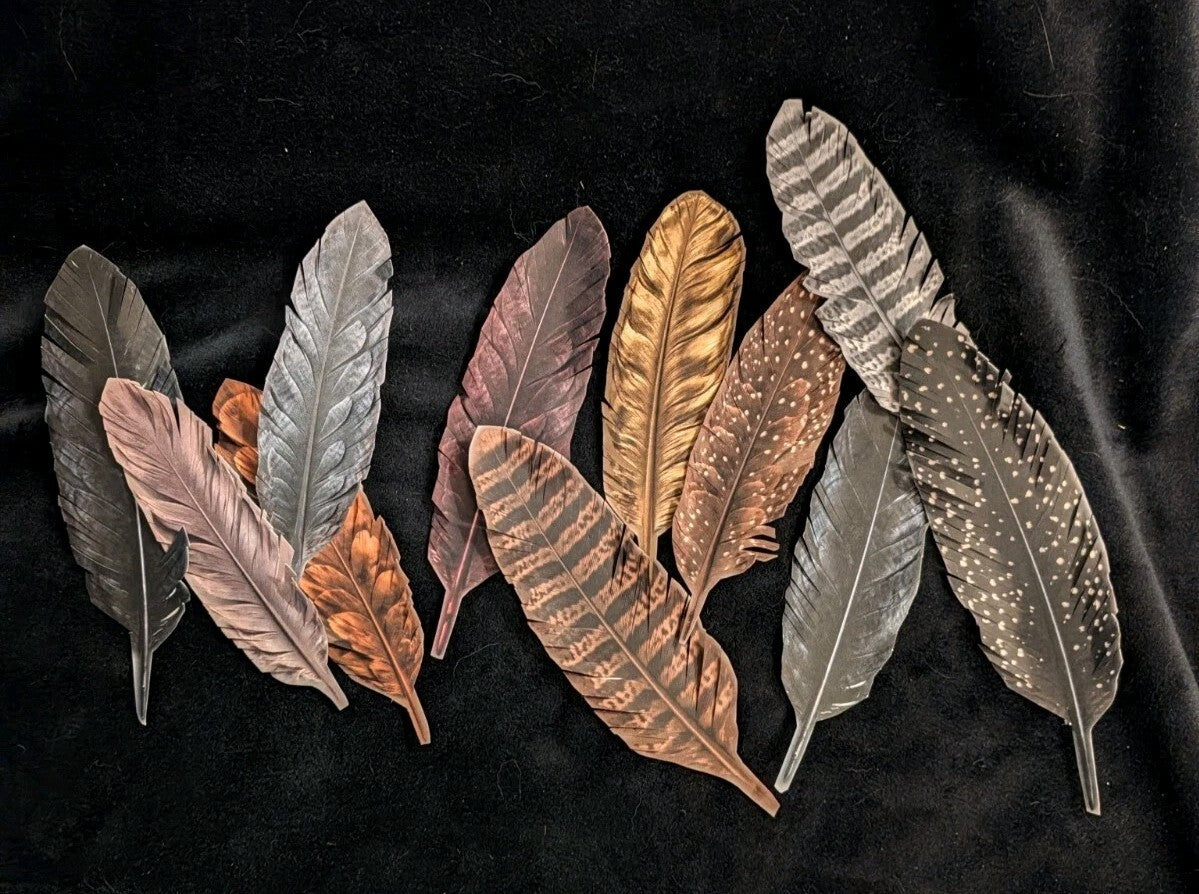 Hand Cut Feather Embellishments Set of 6 Junk Journal Ephemera 32 Designs Gothic