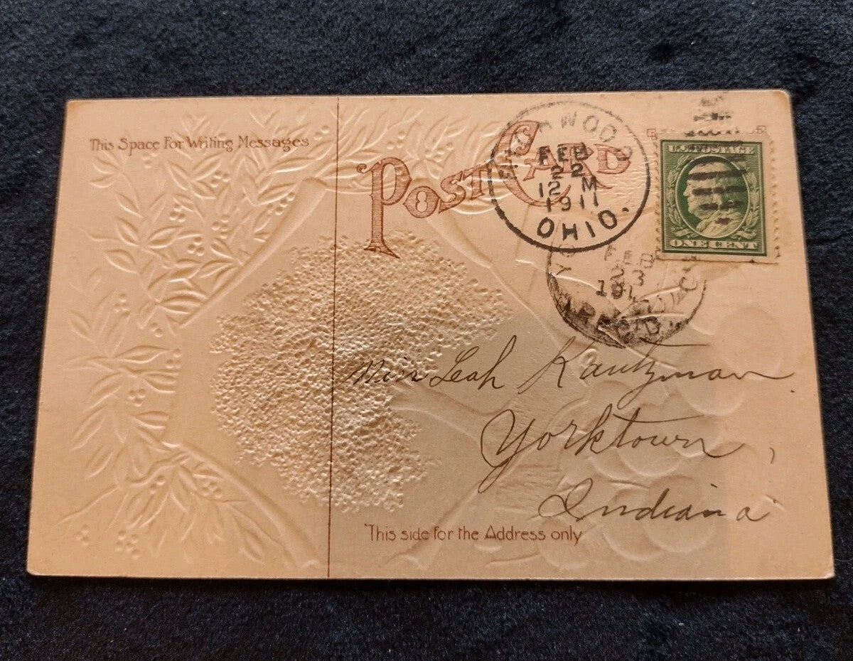 Antique 1908 Washington Birthday Postcard M W Taggart Embossed Cherry Tree