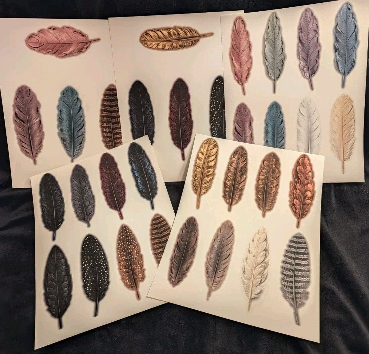 Feather Cutout Paper Pack 5pc Fussy Cut Feathers Junk Journal Ephemera Gothic