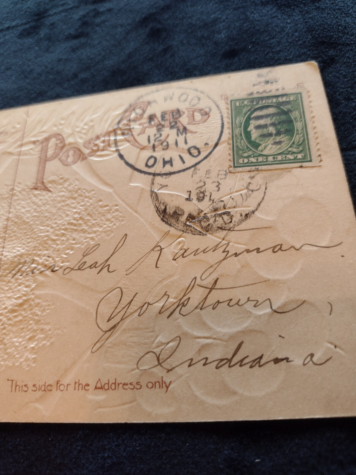 Antique 1908 Washington Birthday Postcard M W Taggart Embossed Cherry Tree