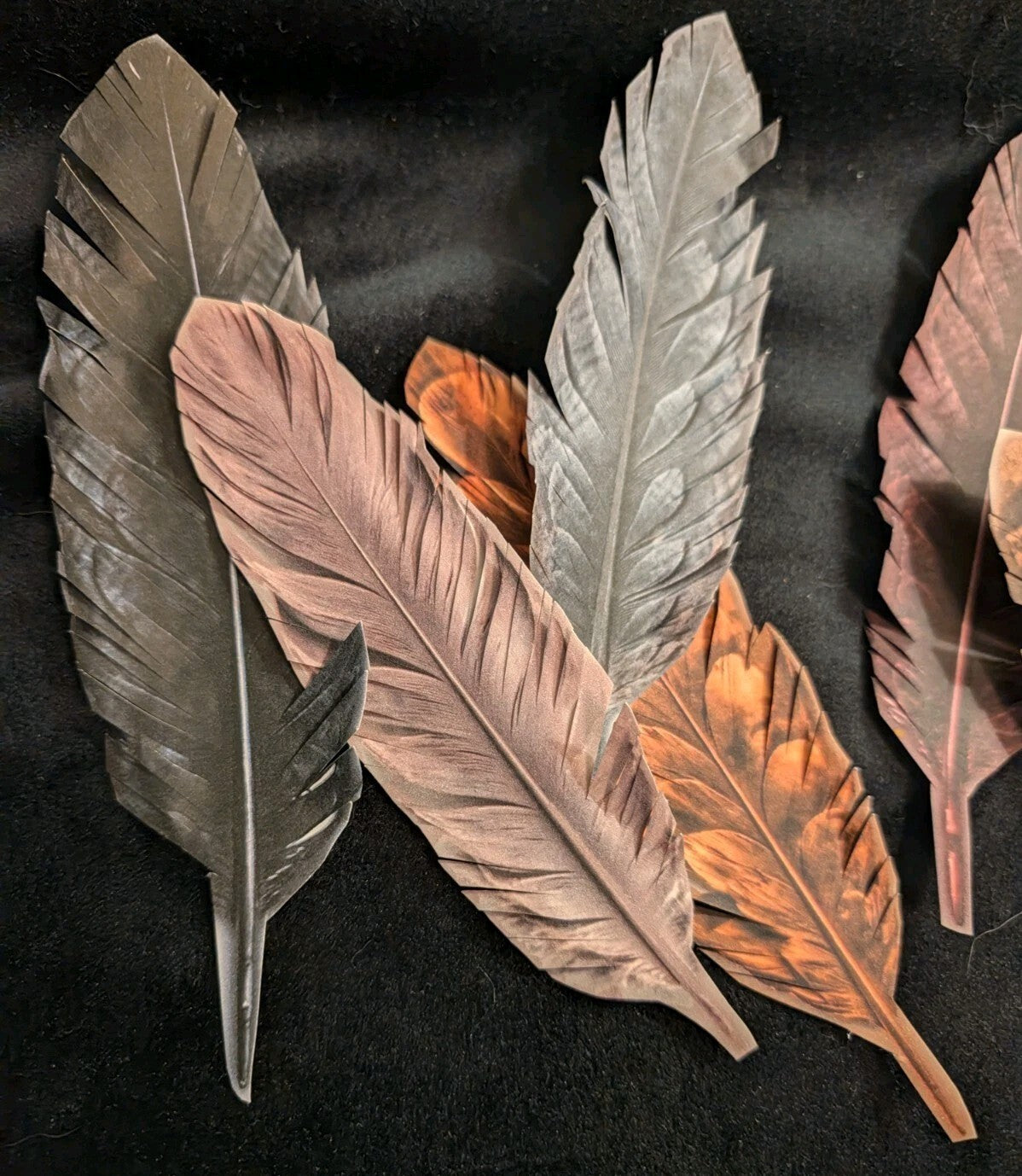 Feather Cutout Paper Pack 5pc Fussy Cut Feathers Junk Journal Ephemera Gothic