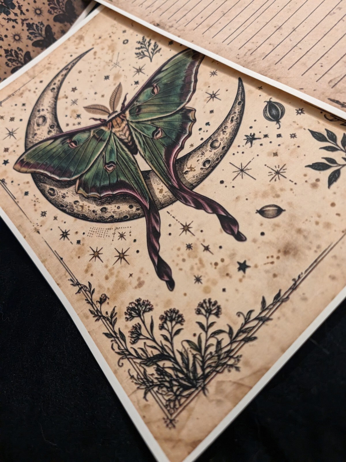 Whimsy Paper Kit 6pc Gothic Journal Ephemera Victorian Junk Journal Scrapbook