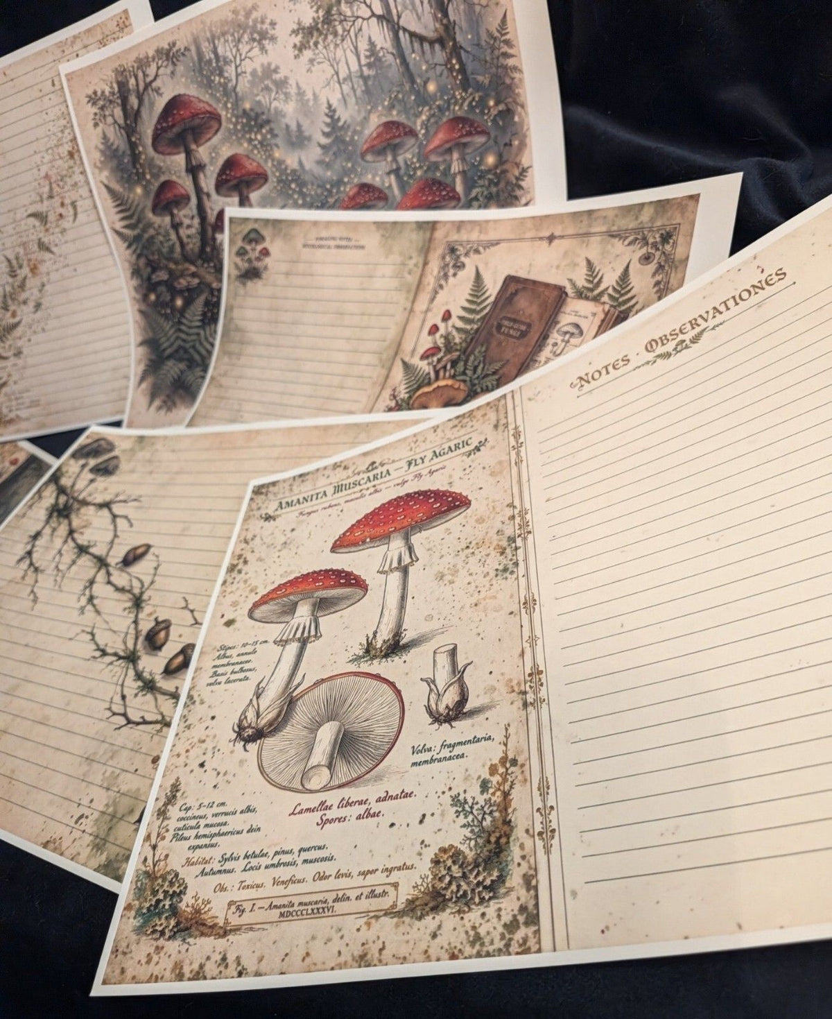 Mushroom 6 Paper Kit Gothic Journal Ephemera Dark Forest Junk Journal Scrapbook